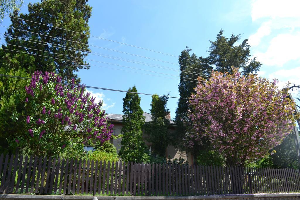 Var-Lak Vendeghaz Szendro Exterior foto