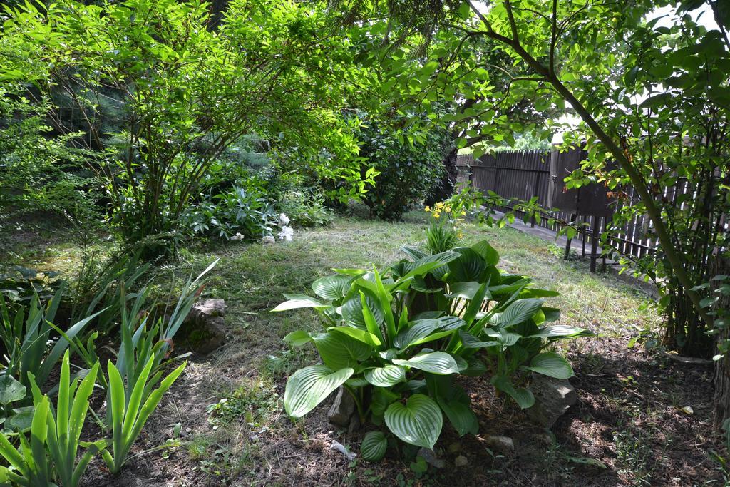 Var-Lak Vendeghaz Szendro Exterior foto