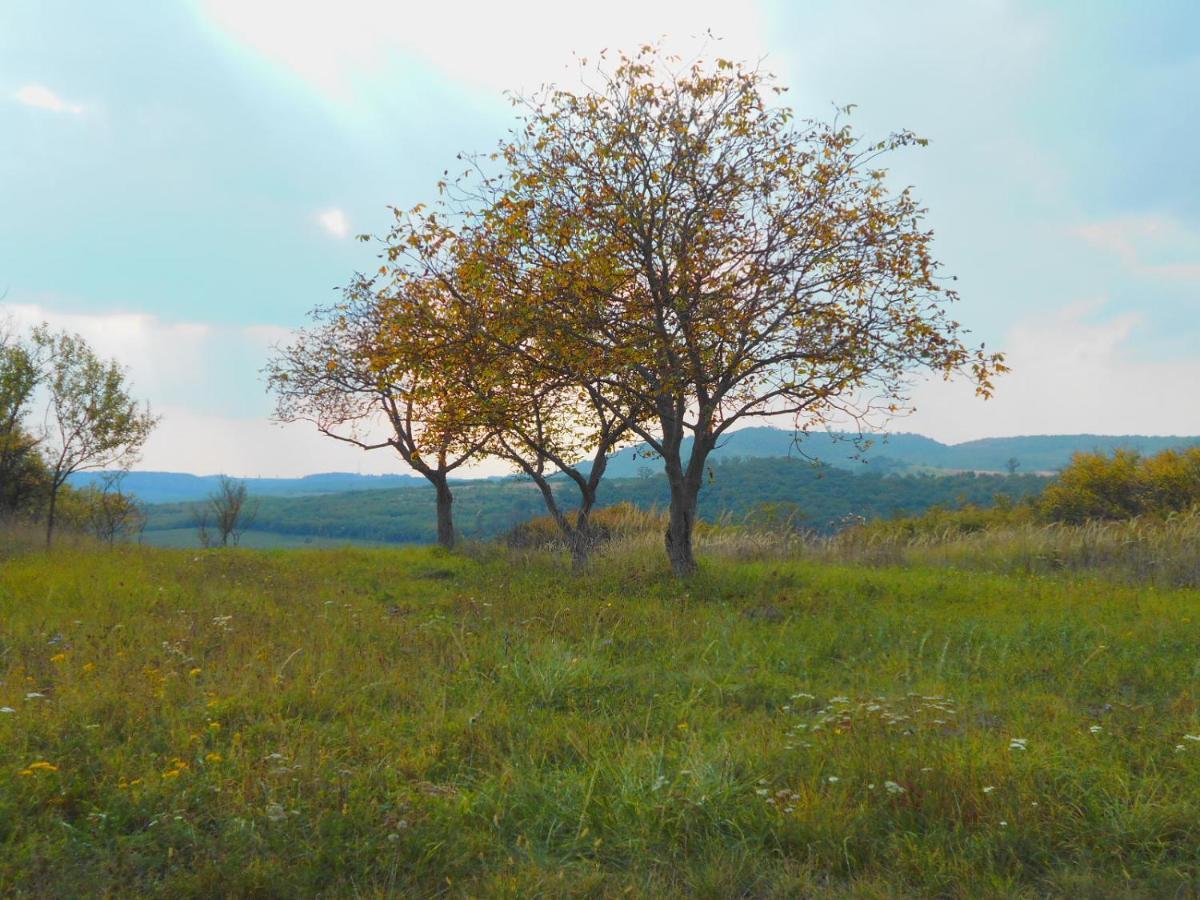Var-Lak Vendeghaz Szendro Exterior foto